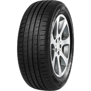 Minerva f209 195/55 r15 85h
